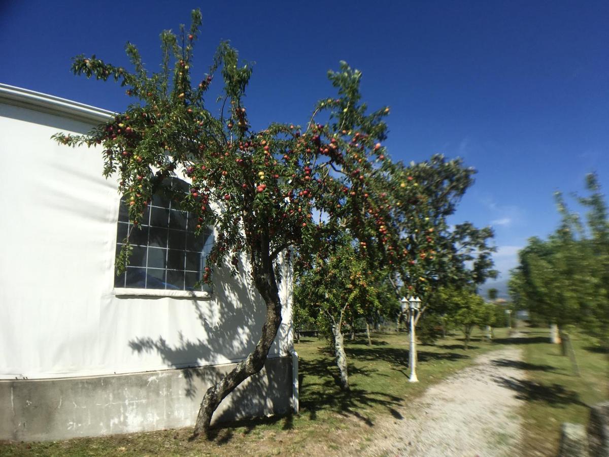 Welcoming Villa Near Penafiel With Pool Abol de Cima Exterior foto